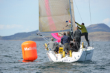 jaywalker gbr97l ss13 fri 0341